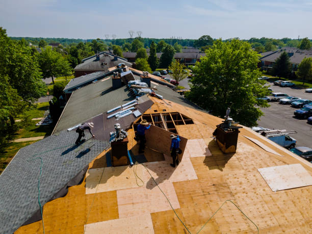 Best Flat Roof Repair Services  in Mount Hermon, VA