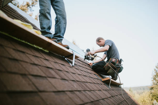 Best Gutter Installation and Roofing  in Mount Hermon, VA